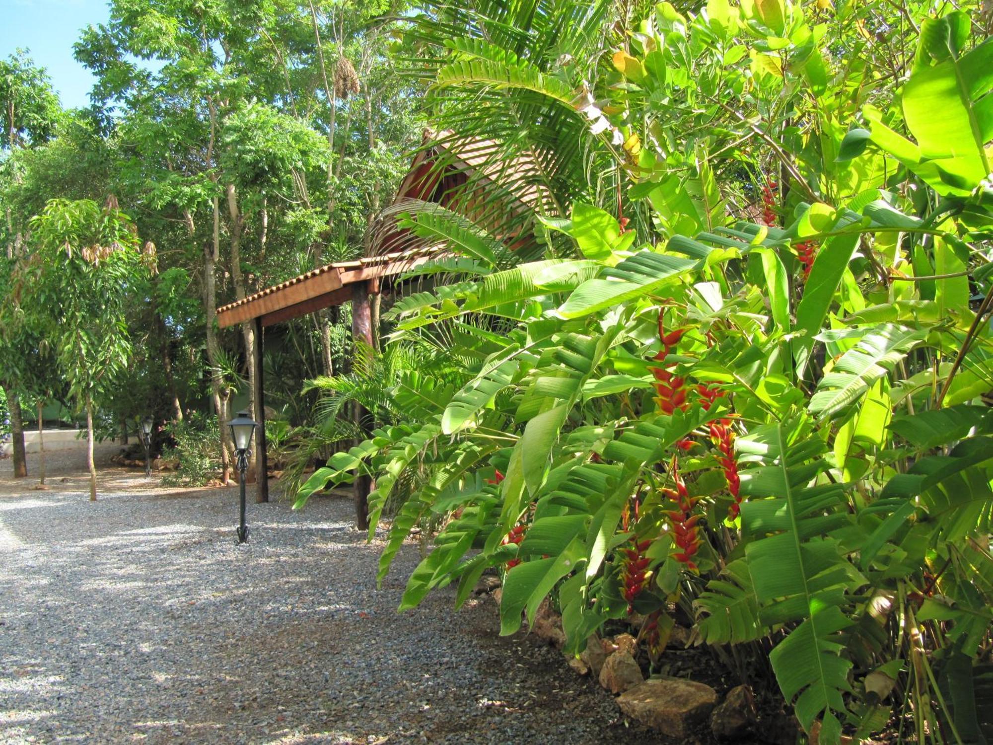 Eco Pousada Villa Verde Бонито Екстериор снимка