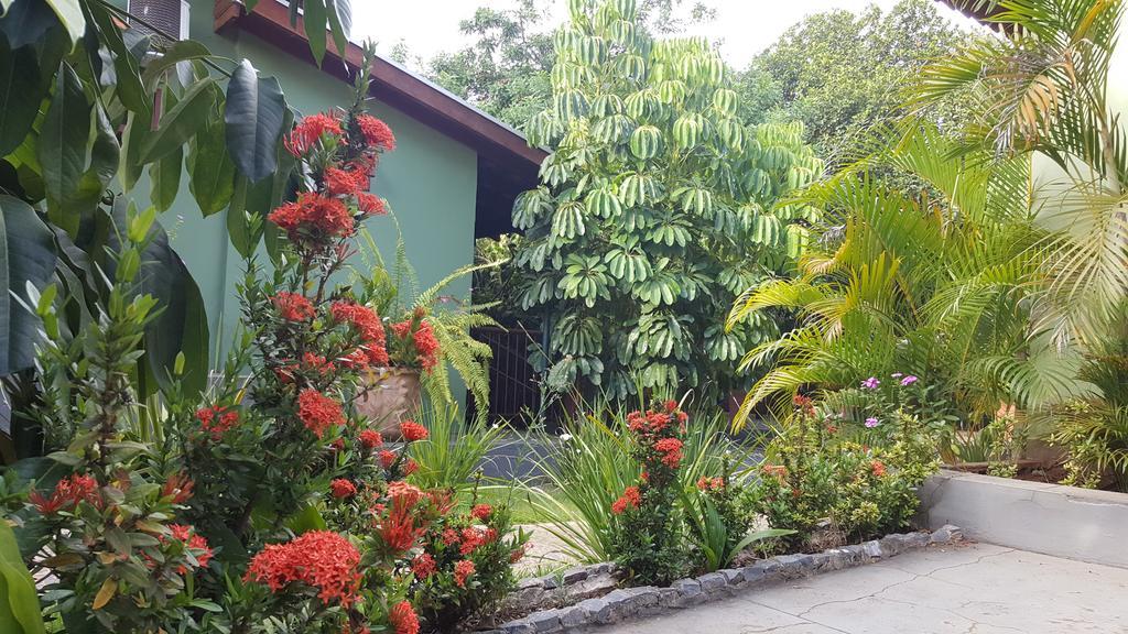 Eco Pousada Villa Verde Бонито Екстериор снимка